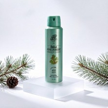 Vionna Rebul Tm Pine Forest Deodorant 150 ml Erkek
