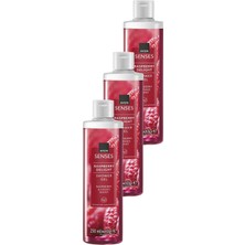 Vionna Avon Raspberry Delight Frambuaz ve Frenk Üzümü Kokulu Duş Jeli 250 Ml. Üçlü Set