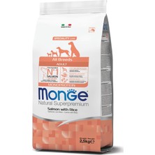 Vionna Monge Adult Tek Proteinli Somonlu Pirinçli Yetişkin Köpek Maması 2,5 kg