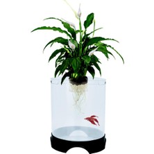 Vionna Penn-Plax Aqua-Ponic Betta Tankı ve Hidroponik Bitki Saksısı, Bitkiler ve Balıklar Için Sağlıklı Bir Ortam Sağlar