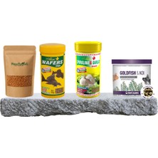 Vionna Purecanpati Goldfish Koi+Wafers+Gammarus ve Sarımsaklı Yem Seti