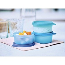 Vionna Tupperware Mini Buzdolabı Saklama Kabı 250 ml 3'lü Set