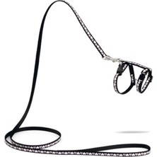 Beeztees Yavru Kedi Göğüs Tasması ve Gezdirme Kayışı 120CM, Siyah, 16-25CM Boyun, 23-36CM Göğüs