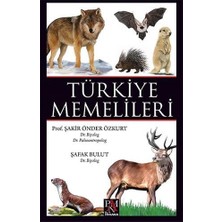 Panama Yayıncılık Türkiye Memelileri (Ciltli)