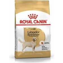 Northcity Labrador Retriever Adult Yetişkin Köpek Maması 12 kg