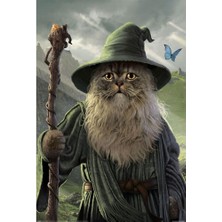 International Catdalf Poster