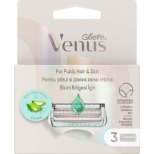 Gillette Venus Bikini Bölgesine Özel 3 Adet Yedek Başlık
