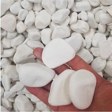 Beyaz Dolomit Taş 5 kg 2-4 cm Dere Çakıl Taşı Bahçe Süs Taşı Saksı Teraryum Taşı Akvaryum Taşı