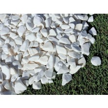Beyaz Dolomit Taş 4 kg 1-2 cm Dere Çakıl Taşı Bahçe Peyzaj Süs Taşı Saksı Teraryum Akvaryum Taşı