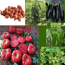 Vionna Zencefil Organik 6 Paket Tohum NO18 Arpacık Soğan 1 Kg. Iska Hibrit Salatalık Patlıcan Köy Domatesi Biberi Tohumu