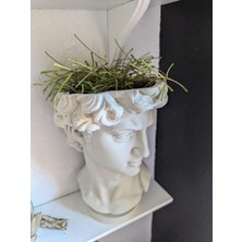 Design David Saksı Dekoratif David Büstü Saksı Model 20CM Davut Heykeli Ev Ofis Dekor Beyaz Tek Ebat