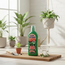 Coşturan Çiçeksiz Süs Bitkileri Için Özel Besin - Yeşil Yapraklı Bitki Gübresi - 600 ml