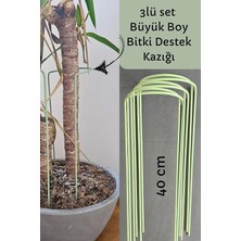 Destek Kazığı 3’lü Set (6 Adet) – Büyük Boy Metal Bitki Destek Aparatı, 40 Cm, Saksı ve Çiçekler Için, Yeşil