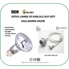 100 Watt Set/kızılötesi/gün Işığı Şeffaf Isıtıcı Lamba ve Kablolu Duy Seti