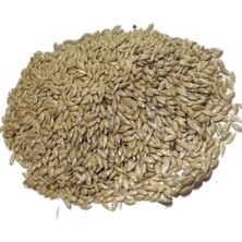 Vionna Aspur Sade Kanarya Yemi (Elenmiş, Temizlenmiş) 1 kg (Özel Vakumlu Ambalaj)