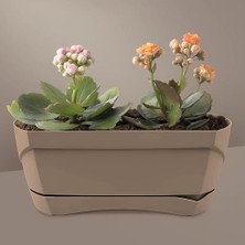 Vionna Modern Balkon Saksısı Tabaklı Delikli Plastik Saksı (Kahve, 5 Litre)
