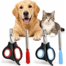 Vionna Sogud Kedi ve Köpek Tırnak Makası - Evcil Hayvan Tırnak Kesme Makası ve Metal Törpü - 2 Parçalı Ergonomik Pati Bakım Seti - Kaymaz Saplı Kedi Köpek Bakım Aleti - Stok Durumuna Göre Renk Gönderilir