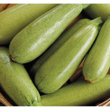 Vionna Sakız Kabak Tohumu - 10 Gram