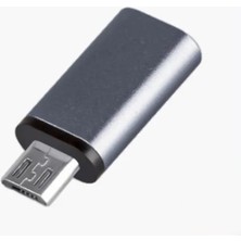 Lovesta Home Ft ADA22 Type-C To Micro Çevirici Mini Adaptör ZR352