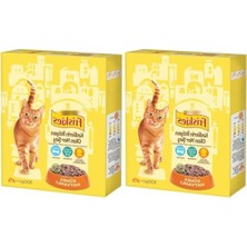 Vionna Yetişkin Kediler Için Kümes Hayvanlı Mama 300 gr 2'li Paket