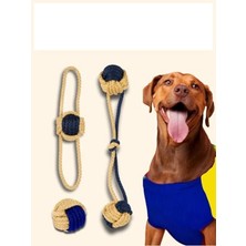Vionna Üçlü Set Köpek Oyuncağı, Diş Sağlığı Için Ideal