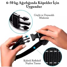 Vionna Evcil Hayvanlar Için Siyah Araç Emniyet Kemeri, Taşıma Kolaylığı