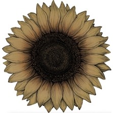 Hester & Cook Kalıp Kesim Vintage Sunflower Kağıt Amerikan Servis 12LI Paket