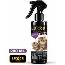 Luxor Kedi Parfümü Böğürtlen Aromalı 200 ml