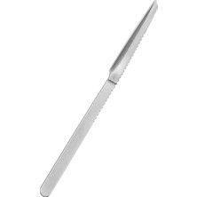 Sunup SN-38806 13 cm Paslanmaz Çelik Nasır ve Ölü Deri Kazıyıcı