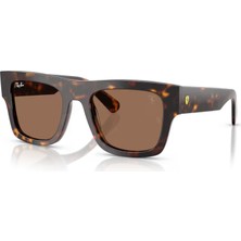 Ray-Ban Güneş Gözlüğü RB2217M 53 F61373