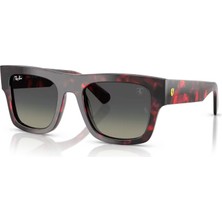 Ray-Ban Güneş Gözlüğü RB2217M 53 F70511