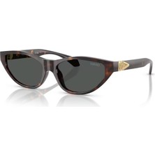 Versace Güneş Gözlüğü VE4491U 55 108/87