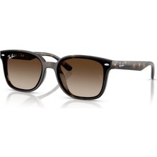 Ray-Ban Güneş Gözlüğü RB4461D 64 710/13