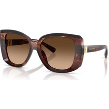 Dolce & Gabbana 0 Dg 4495 322274 56 Kadın Güneş Gözlüğü