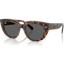 Ray-Ban Rb 2286 1292B1 52RAY-BAN Doreen Kadın Güneş Gözlüğü 52 mm Kahverengi Çerçeve UV 400 Filtreli Tasarım