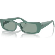 Ray-Ban Rayban 4425 676282 54 kadın