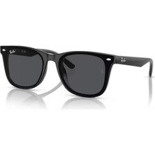 Ray-Ban 4420 601/87 65  Güneş Gözlüğü Siyah Çerçeve UV Koruma ve Organik Cam ile