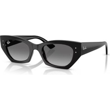 Ray-Ban Güneş Gözlüğü RB4430 49 667711