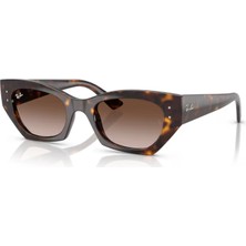Ray-Ban Güneş Gözlüğü RB4430 49 135913