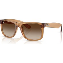 Ray-Ban Güneş Gözlüğü RB4165 55 681413
