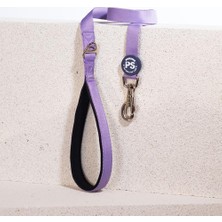 Pawstar Lila Leash Kedi Köpek Sevk & Gezdirme Kayışı Köpek Uzatma Tasması-1,5cm