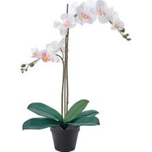 IKEA Fejka Yapay Bitki , Beyaz, 12 Cm, Orkide