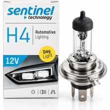 Siegen Sentinel Ampul 12V H4 60/55WATT P43T Tırnaklı