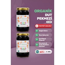 Soul Kitchen Organik Ürünler Organik Dut Pekmezi 2'li Set Soğuk Sıkım Şeker İlavesiz 2x380 g