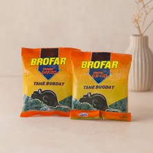 store tane buğday fare ve  200 g