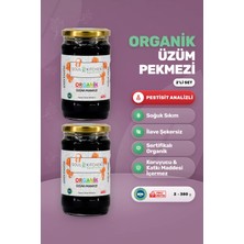 Soul Kitchen Organik Ürünler Organik Üzüm Pekmezi Soğuk Sıkım Şeker İlavesiz 2'li Set 2x380 g