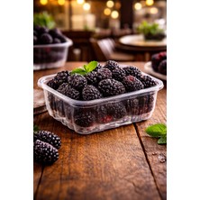 Dasplas 250 gr Şarküteri Kabı 100 Adet