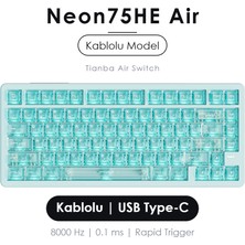 Meyer Gaming Vgn NEON75HE Air 8k Hall Effect Rapid Trigger Manyetik Oyuncu Klavyesi