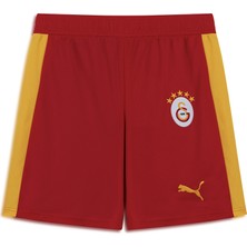 Gs Store Galatasaray Puma Retro Şort 78819880