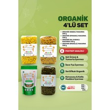 Soul Kitchen Organik Ürünler Organik Makarna Seti Vegan İlave Tuzsuz 4'lü Avantaj Paket